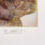 Fiori notturni - immagine 3