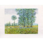 Il prato di Monet - immagine 2