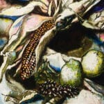 Pannocchia con limoni