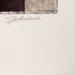 Panittera - immagine 3