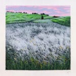 Margherite - immagine 2