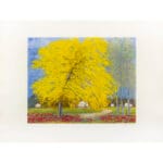 California - immagine 2