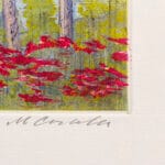California - immagine 3