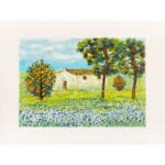 Casolare con albero d'arancio - immagine 2