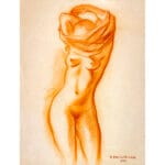 Nudo di fronte - immagine 2