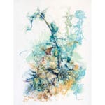 Pianta acquatica - immagine 2