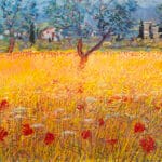 Campo di grano in Abruzzo