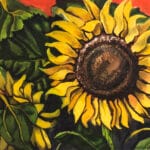 Girasole