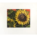 Girasole - immagine 2