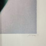 Nudo con natura morta - immagine 3