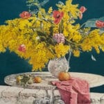 Mimose II