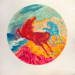 Cavalli - immagine 2