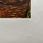 Raccolta di arance - immagine 3