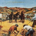 Pisata