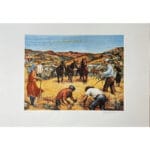 Pisata - immagine 2