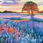 Campo di Lavanda di Athos Faccincani