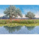 Riservatezze - immagine 2
