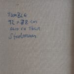 Tumble - immagine 3