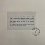 Lotta di cervi - immagine 3
