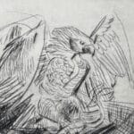 Aquila