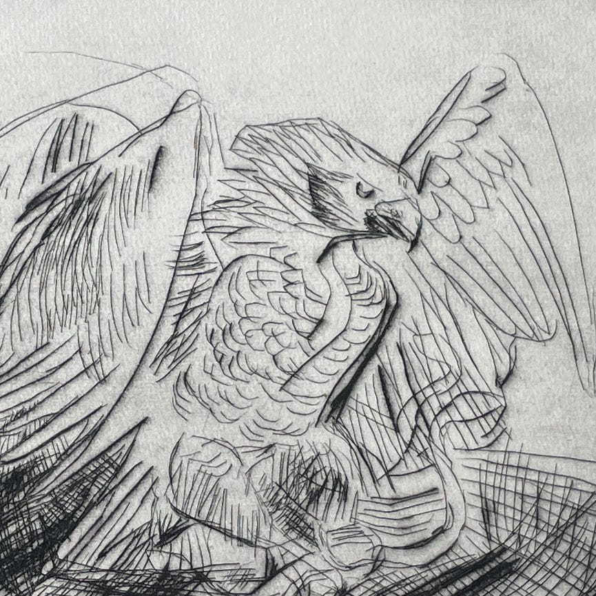 0009253_aquila.jpeg Aquila - immagine 1