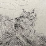 Lince