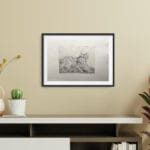 Lince - immagine 3