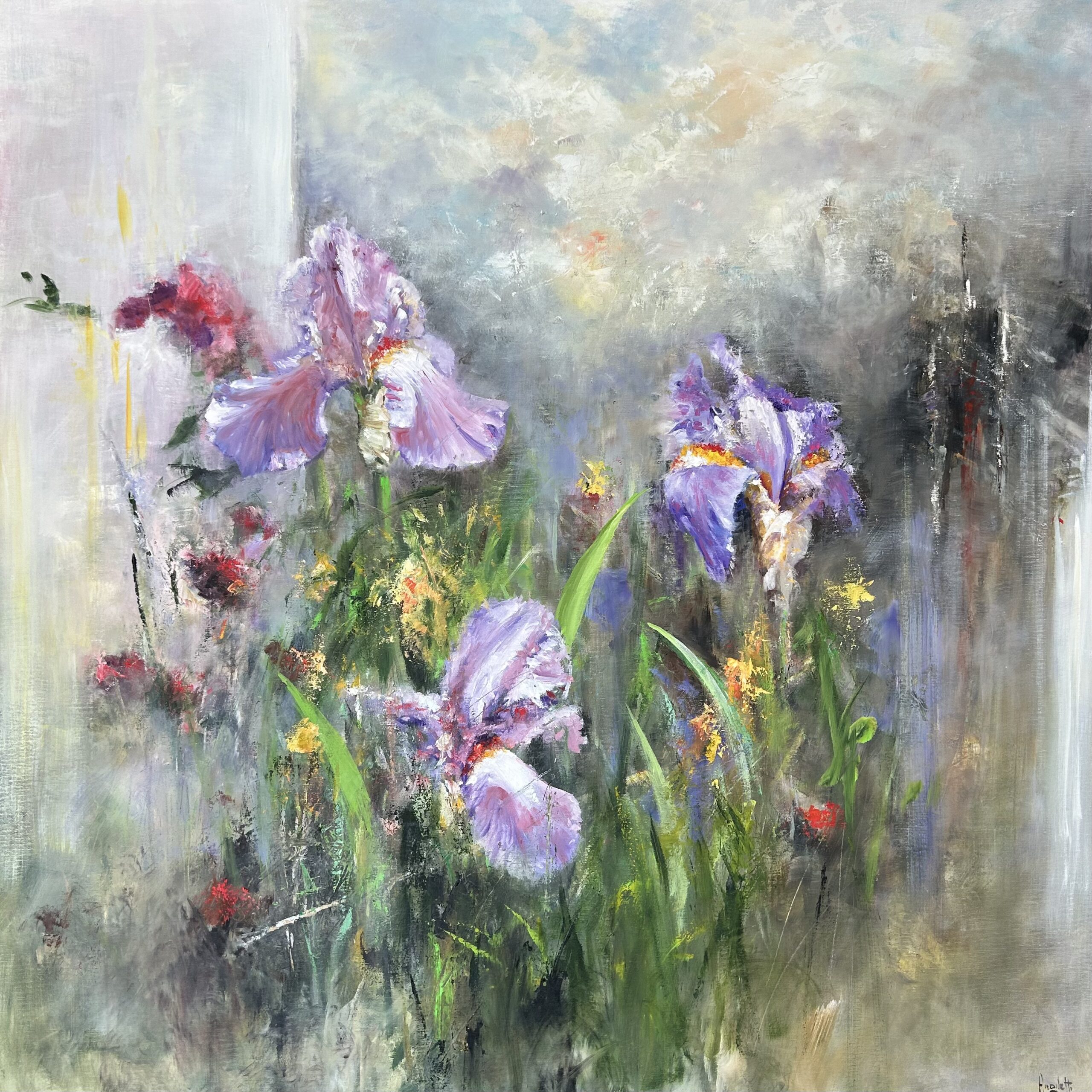 IMG_7243 Iris di Giacomo Angiletti - immagine 1