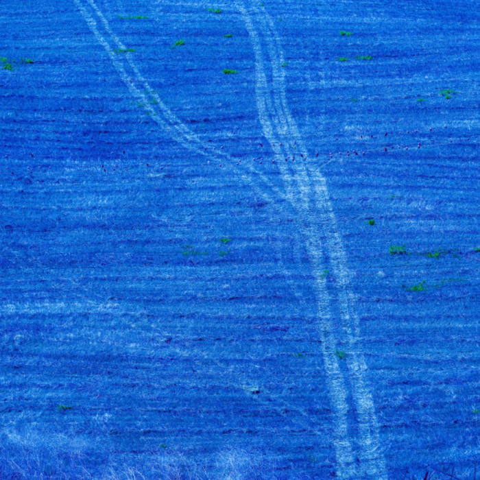 Blu oltremare di Antonino Costa