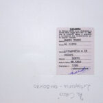 Al circo - immagine 4