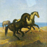 Cavalli - immagine 3