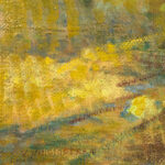 Cavalli - immagine 4