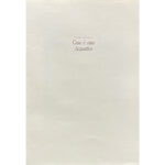Cartella di due serigrafie - Mario Schifano - immagine 5