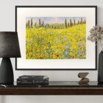 Ginestre in Toscana - immagine 4