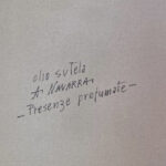 Presenze profumate di Navarra