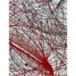 Il papavero di Claudio Cangialosi - immagine 2