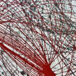 Il papavero di Claudio Cangialosi