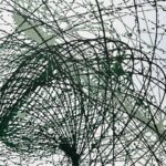 Il soffione di Claudio Cangialosi