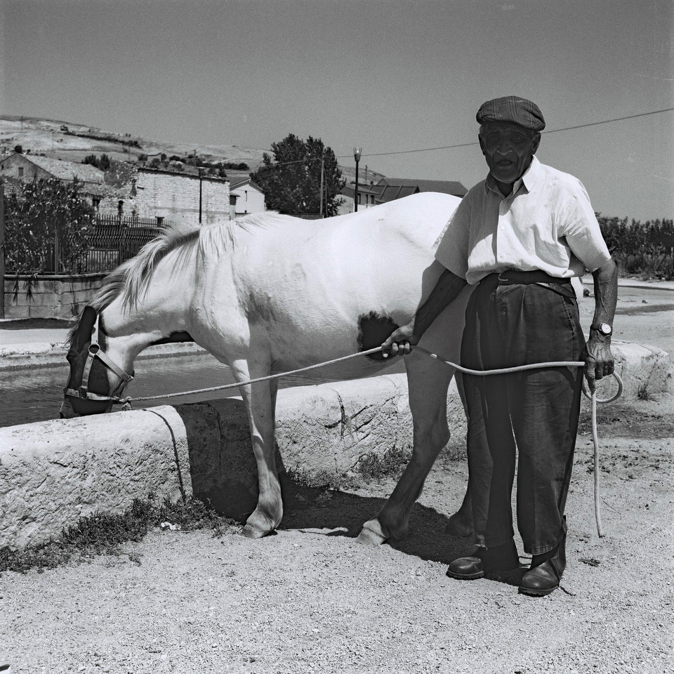 Abbeveratoio nella campagna circostante il territorio di Prizzi, Palermo, 2003 Abbeveratoio nella campagna circostante il territorio di Prizzi di Antonino Costa - immagine 1