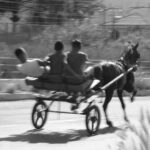 Allenamento di un cavallo in un’ampia via periferica di Brancaccio di Antonino Costa