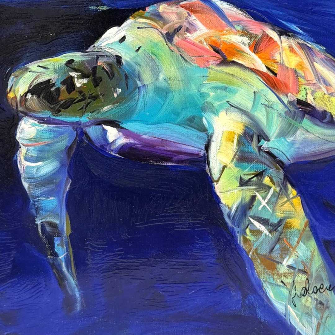 1 Nature di Claudio Malacarne - immagine 1